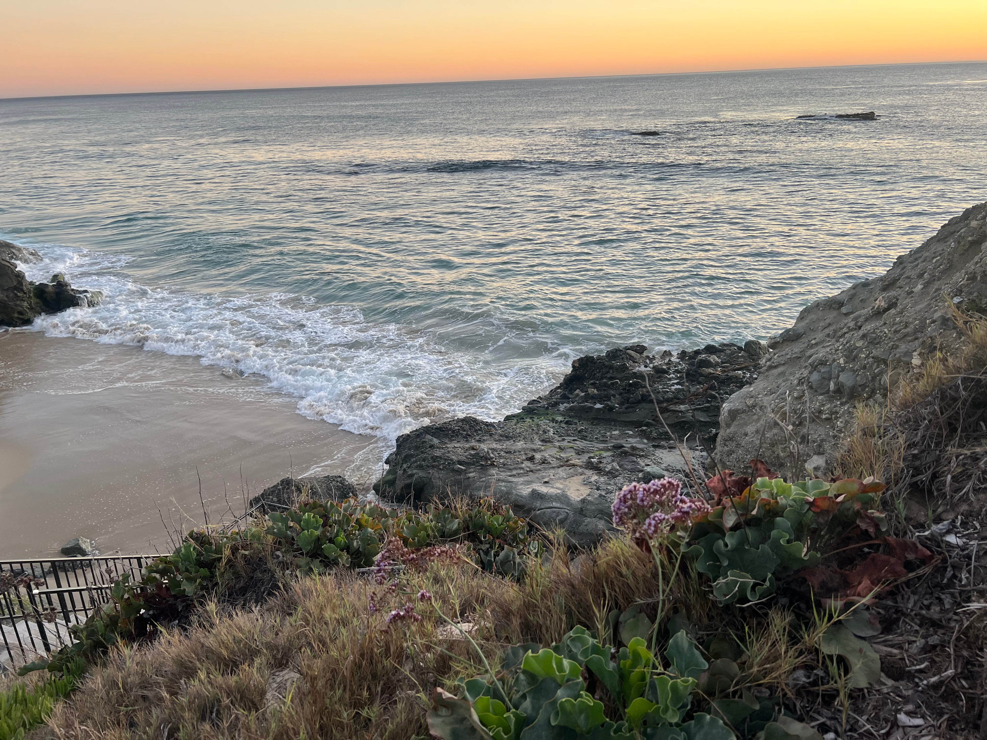 Bolsa Chica